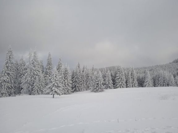 Csaknem fél métert havazott vasárnap Hargitafürdőn 