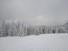 Csaknem fél métert havazott vasárnap Hargitafürdőn 