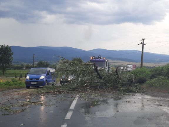 Fák zuhantak a vezetékekre: két alcsíki faluban is áramkiesés volt