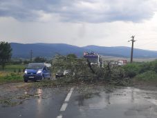 Fák zuhantak a vezetékekre: két alcsíki faluban is áramkiesés volt
