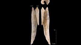 Emberi csontokból készült ékszereket fedeztek fel a régészek egy szigeten