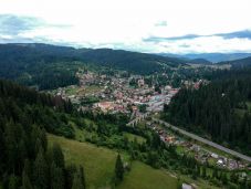 Öt medvét szállítottak el az utóbbi hetekben Borszékről