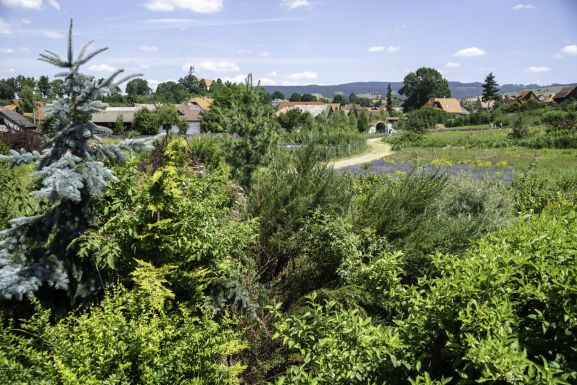 Tájépítész egyetemisták gyakorlatoztak Csíksomlyón