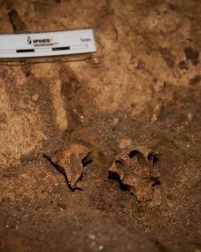 Európa legősibb emberi maradványát találhatták meg a régészek