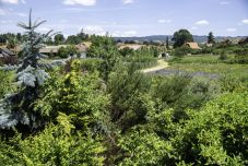 Tájépítész egyetemisták gyakorlatoztak Csíksomlyón