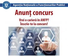 Lázas ütemben folytak az alkalmazások a közigazgatásban az első félévben