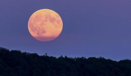 Narancssárga szuperhold lesz látható szerda éjjel