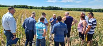 Aszály Biharban: a mezőgazdasági miniszter a saját szemével győződhetett meg a bajról