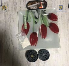 Drogkereskedőt ért tetten a rendőrség az Electric Castle fesztiválon