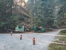 Kidőlt fák miatt lezárták a Menyasszonyfátyol-vízesés felé vezető utat