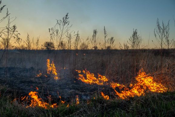 Tarlóégetés miatt 30 000 lejre bírságoltak Maros megyében