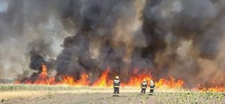 Több mint egy napja ég az erdő Kiskunhalasnál