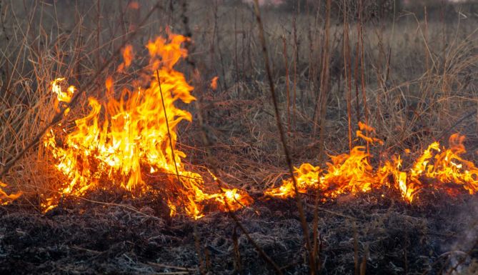 FRISSÍTVE – Mintegy tíz hektáron kapott lángra a száraz növényzet Hargita megyében