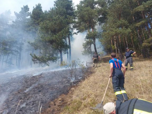 Harmadik napja küzdenek a tíz hektáron szétterjedt bozóttűzzel Hargita megyében