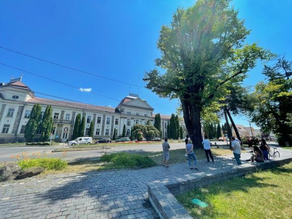 Klímavédelem: Norvég Alapból mérik fel és alakítják át Csíkszereda zöldövezeteit