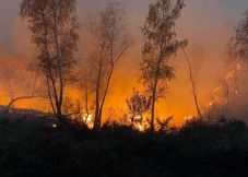 Negyven hektáron égett a növényzet az Erdélyi-szigethegységben