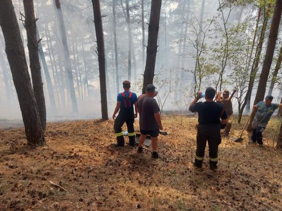 Ötödik napja ég a száraz növényzet Hargita megye északi részén
