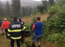 Holtan találtak egy férfit egy Kolozs megyei erdőben