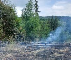 Harmadik napja küzdenek a bozóttűzzel Maroshévíz közelében