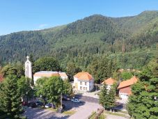 Középpontban a medve – konferenciát és fesztivált szerveznek Tusnádfürdőn