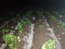 Komoly pusztításokat okozott Hargita megyében a vasárnap esti vihar