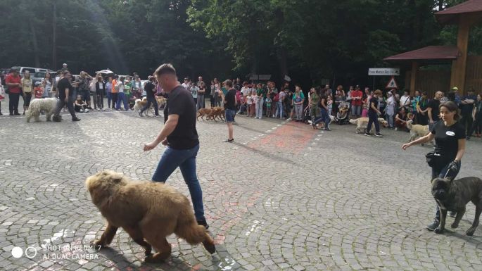 Áloméj az állatkertben – krónikus beteg gyerekeket szórakoztattak a marosvásárhelyi állatkertben