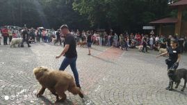 Áloméj az állatkertben – krónikus beteg gyerekeket szórakoztattak a marosvásárhelyi állatkertben