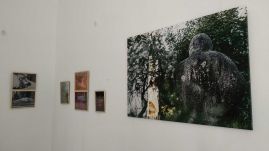 Különös dolgok kertje – megnyílt Mira Marincaș új fotókiállítása Kolozsváron