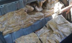 Közel hatvan kiló vágott dohányt akart becsempészni egy férfi Érmihályfalvánál