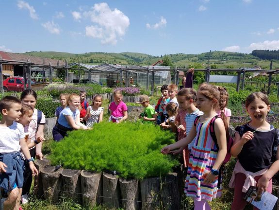 Néptánctól a robotikáig – bőséges a nyári táborválaszték Hargita megyében