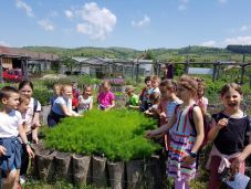 Néptánctól a robotikáig – bőséges a nyári táborválaszték Hargita megyében