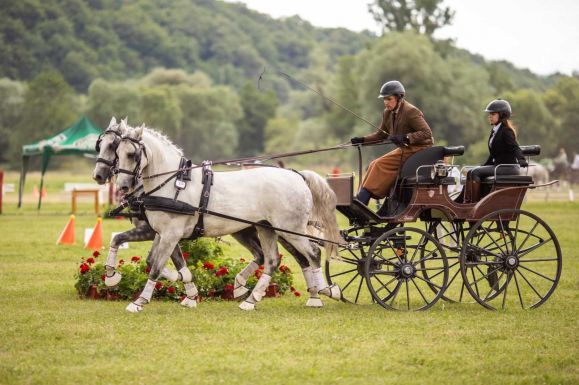 Potápi: a nemzetpolitika eszköze az erdélyi lovasegyesületek támogatása