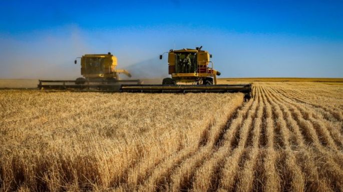 Az agrárvállalkozások 300 millió eurós keretösszegre pályázhatnak