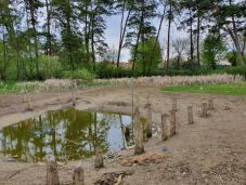 Hülyének nézzük az EU-t: uniós pénzekből lendítenék fel az idegenforgalmat a kiszáradt tónál