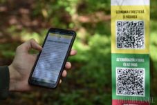 QR-kódokkal ellátott tanösvényt alakítottak ki Félixfürdőn