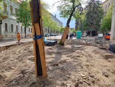 Jó példa Kolozsváron: így óvják a fákat a Farkas utcában