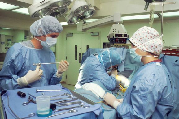 Vírust találtak abban a sertésszívben, amelyet elsőként ültettek emberbe