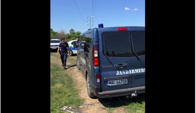 Oroszlán miatt riasztották a katasztrófavédelmet Târgoviştén