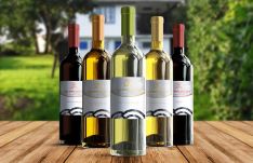 Közel 50 Kárpát-medencei magyar pincészet borait kóstolhatják meg Csíkszeredában