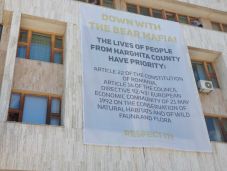 Kommunikációs kampánnyal venné fel a harcot a „medvemaffia” ellen Hargita Megye Tanácsa