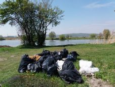 Önkénteseket vár a Marosvásárhelyi Rádió: ismét kitakarítják a Maros partját