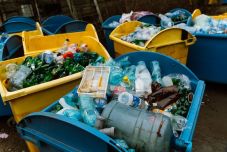 Háromezer tonna hulladékot gyűjtöttek össze Marosvásárhelyen, indul az újabb kampány