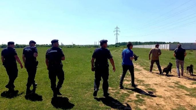 Nem keresik tovább a târgoviştei oroszlánt