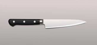 Őrizetbe vettek egy magyar férfit, aki leszúrta a testvérét