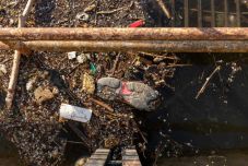 Fizetéséből ajánl jutalmat a polgármester azoknak, akik illegális szemetelőket jelentenek be