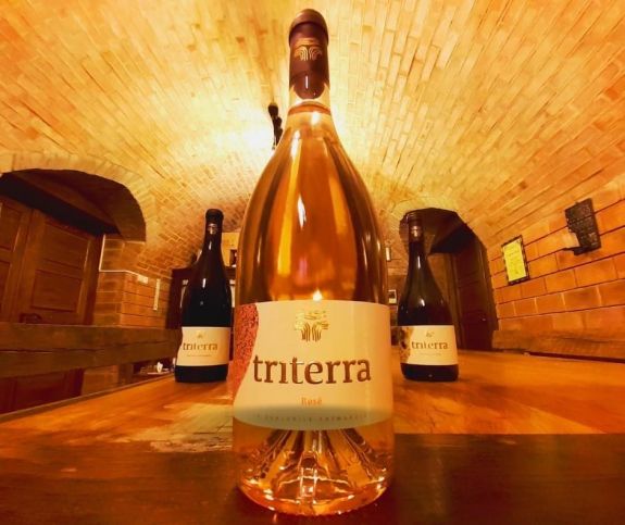 Halmihegyi magyar bor nyerte a rangos romániai borversenyt (X)