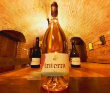 Halmihegyi magyar bor nyerte a rangos romániai borversenyt (X)