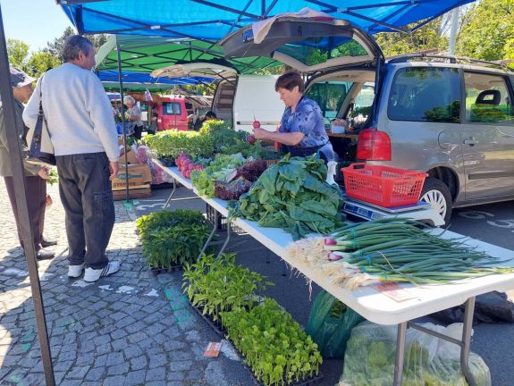 „Mindig nehéz volt és nehéz is lesz, mert tisztességes munkából nehéz megélni” – Szétnéztünk a Györgyfalvi negyedi mozgó piacon