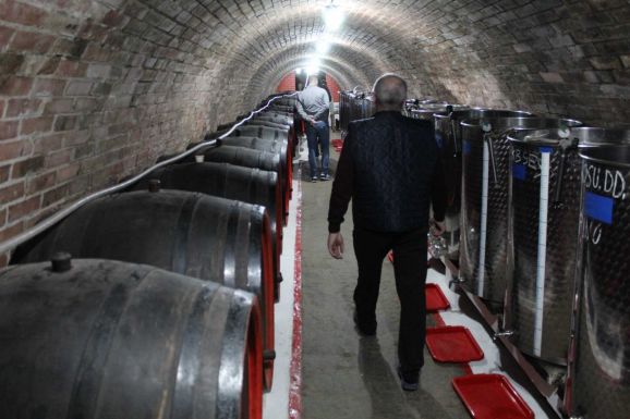 Adatszolgáltatásra kérik a szőlészeket, borászokat a partiumi falugazdászok