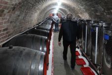 Adatszolgáltatásra kérik a szőlészeket, borászokat a partiumi falugazdászok 